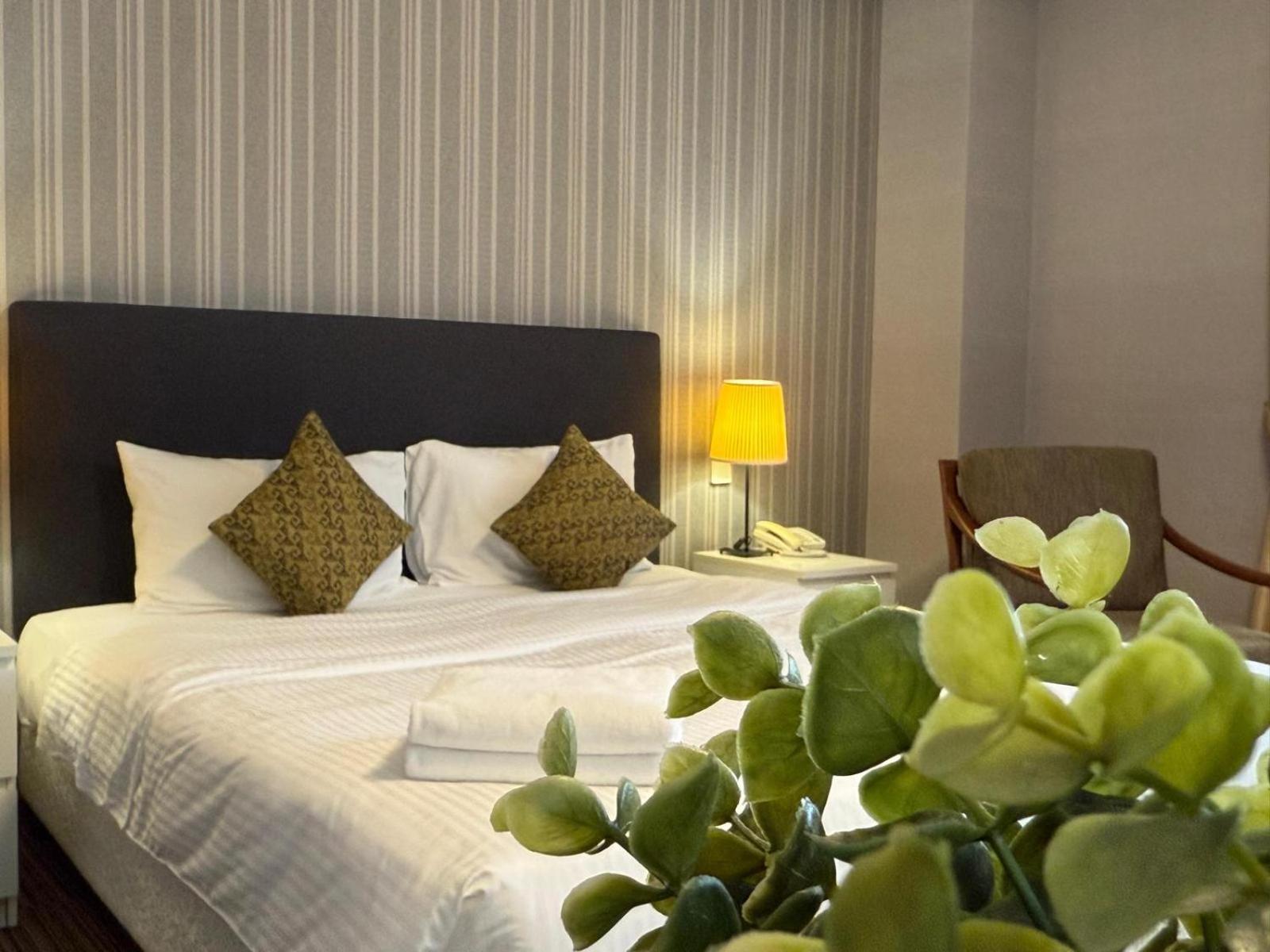 Alocassia Serviced 3*