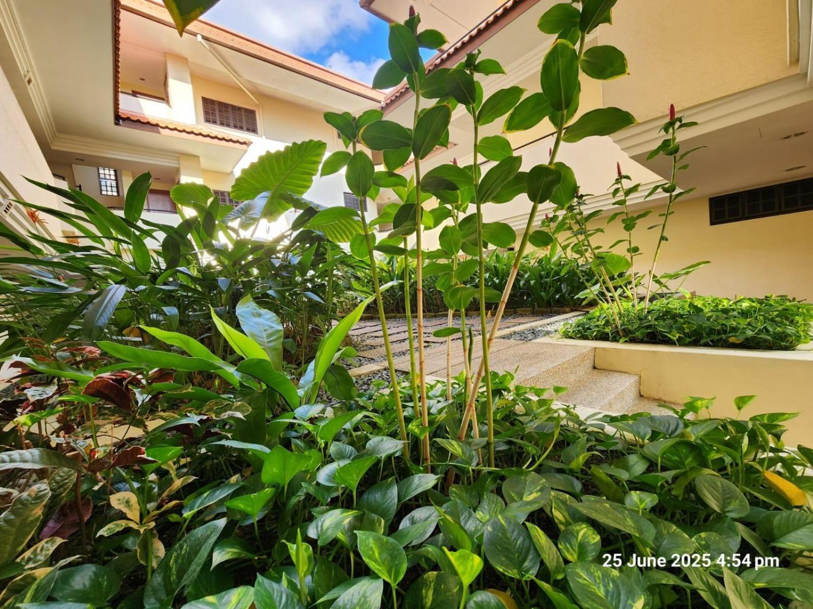 Aparthotel Alocassia Serviced Singapore